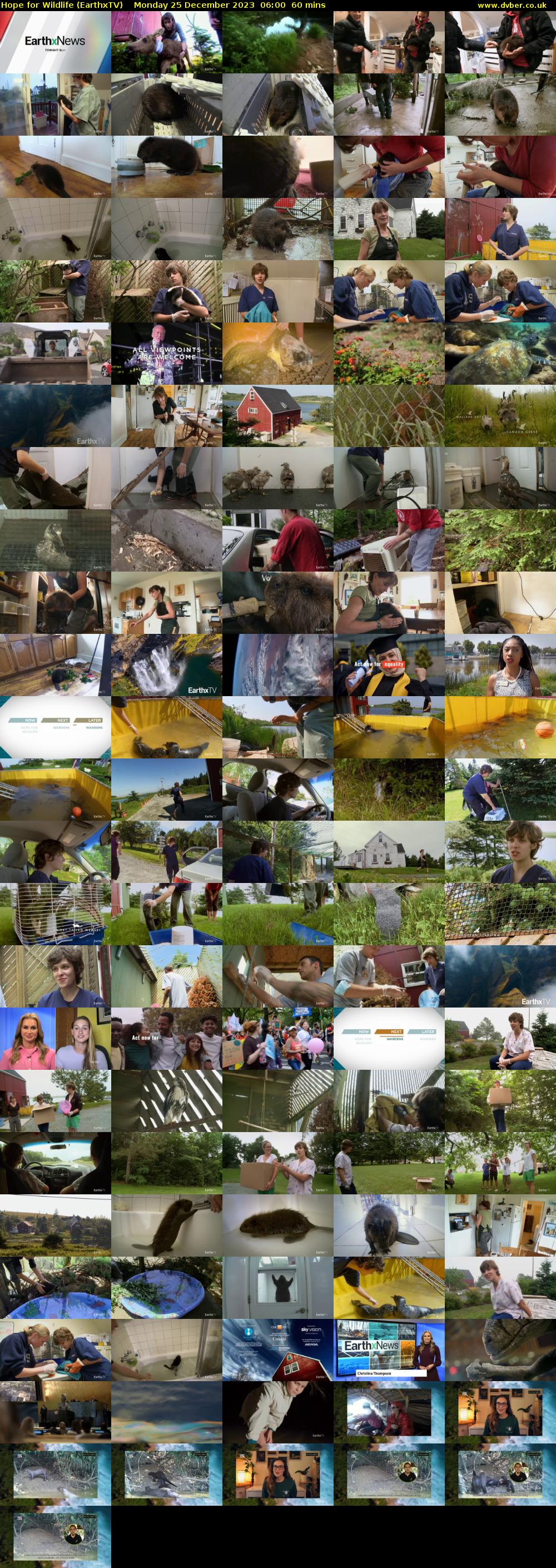 Hope for Wildlife (EarthxTV) Monday 25 December 2023 06:00 - 07:00