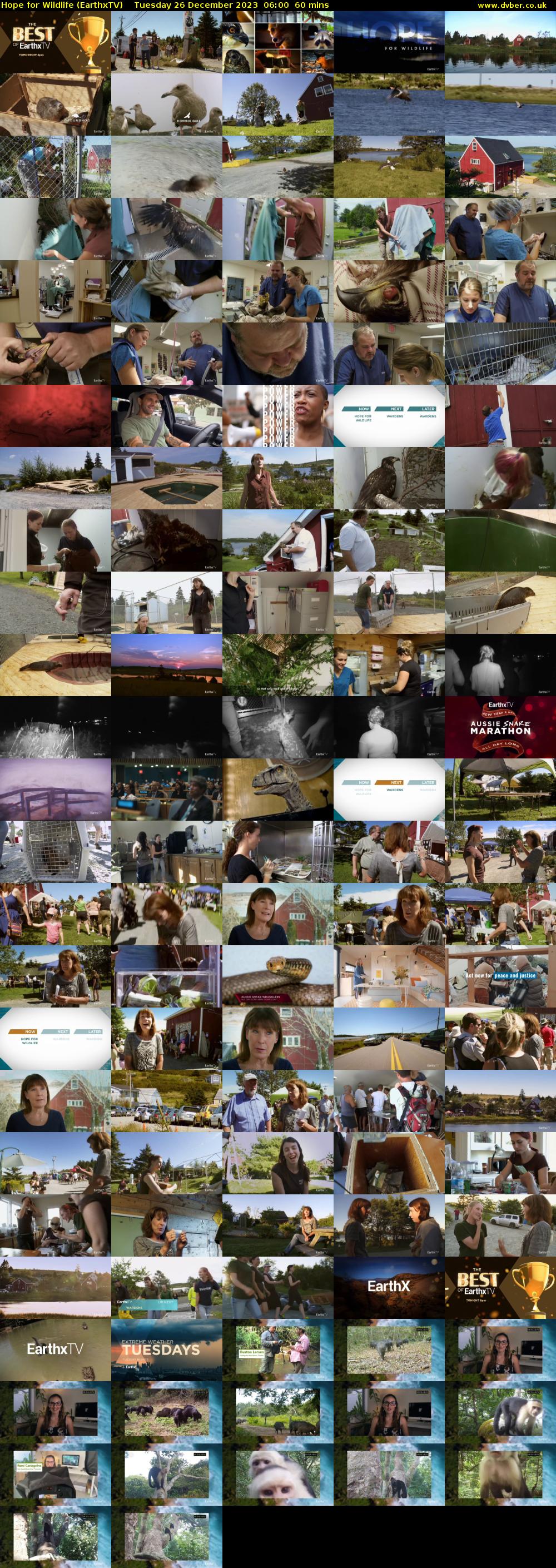 Hope for Wildlife (EarthxTV) Tuesday 26 December 2023 06:00 - 07:00