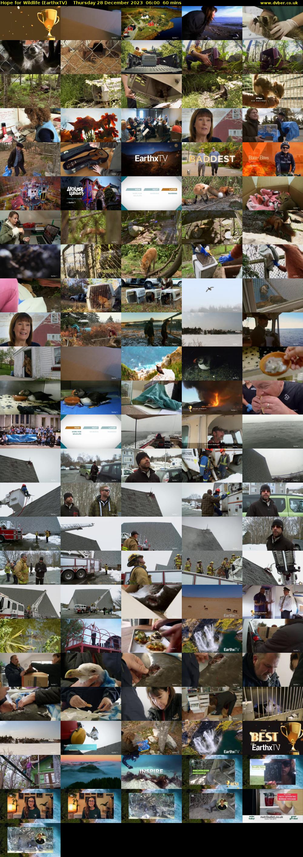 Hope for Wildlife (EarthxTV) Thursday 28 December 2023 06:00 - 07:00