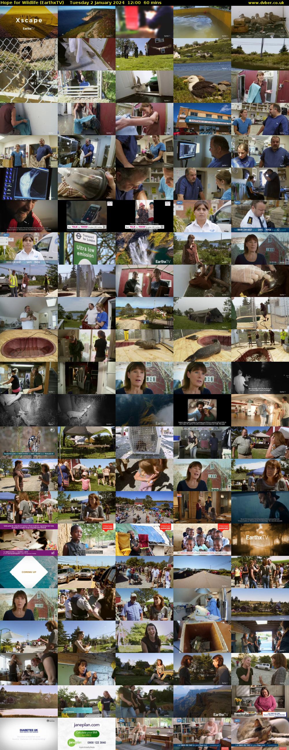 Hope for Wildlife (EarthxTV) Tuesday 2 January 2024 12:00 - 13:00