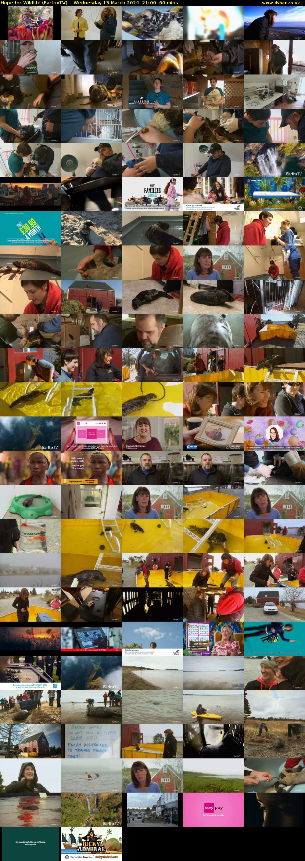 Hope for Wildlife (EarthxTV) Wednesday 13 March 2024 21:00 - 22:00