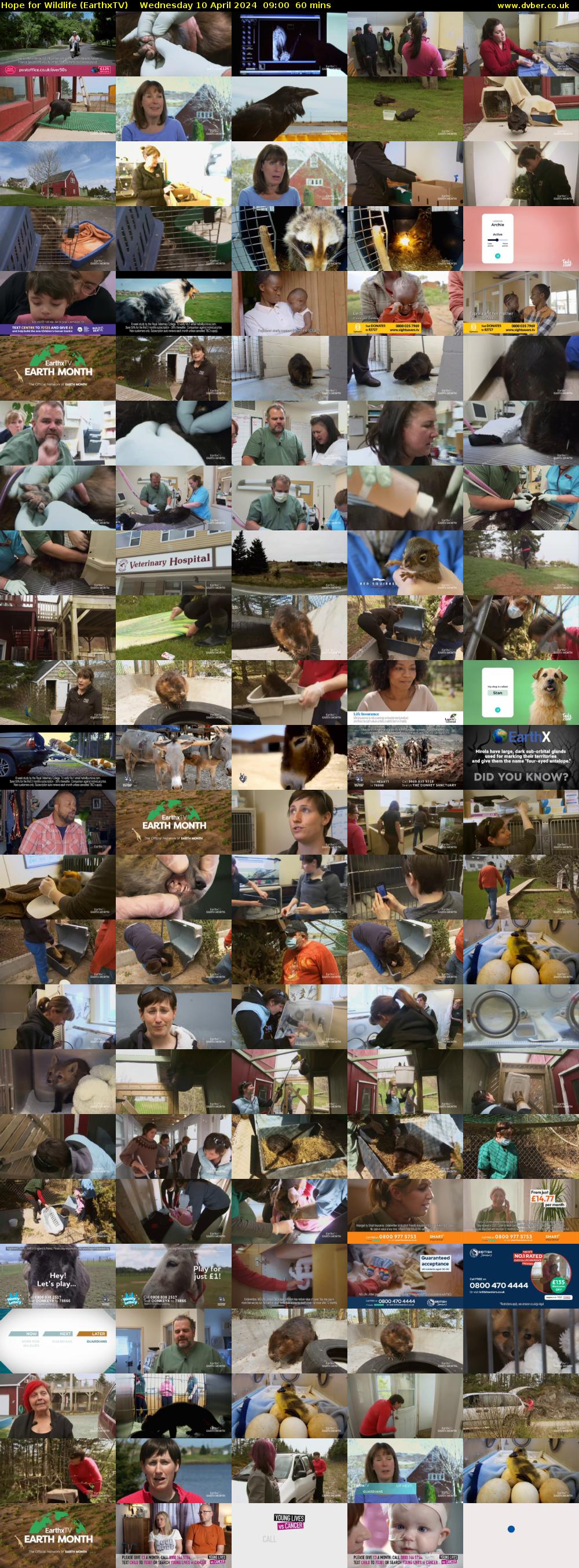 Hope for Wildlife (EarthxTV) Wednesday 10 April 2024 09:00 - 10:00