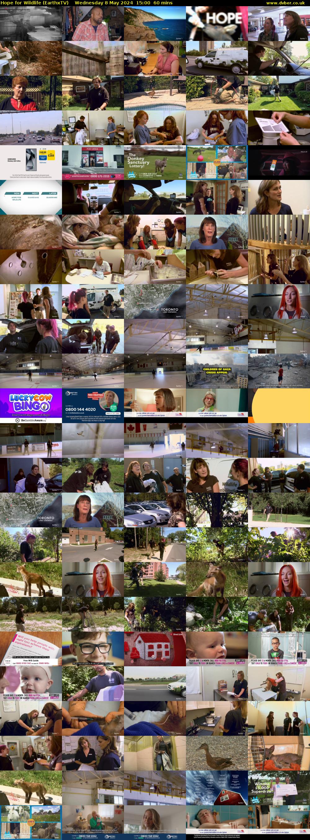 Hope for Wildlife (EarthxTV) Wednesday 8 May 2024 15:00 - 16:00