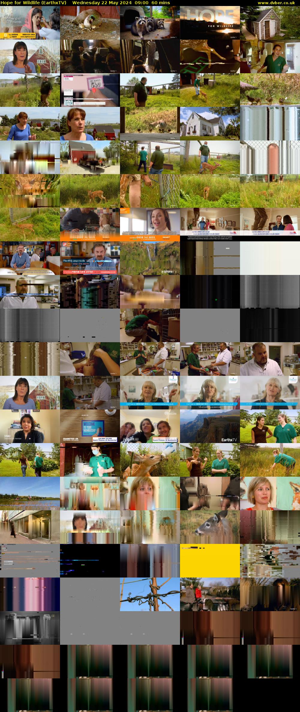 Hope for Wildlife (EarthxTV) Wednesday 22 May 2024 09:00 - 10:00