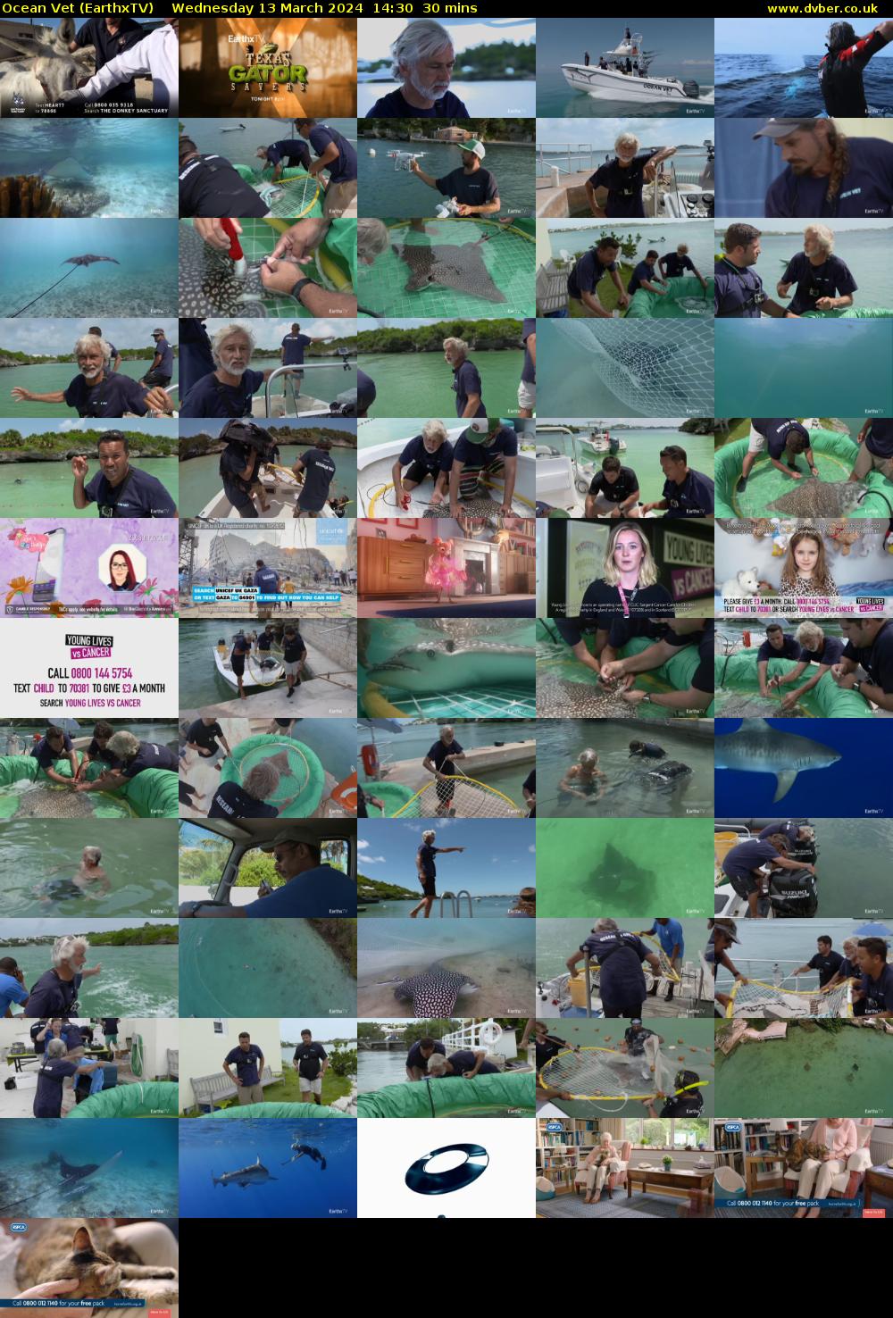 Ocean Vet (EarthxTV) Wednesday 13 March 2024 14:30 - 15:00