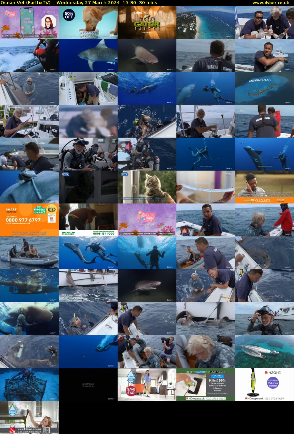 Ocean Vet (EarthxTV) Wednesday 27 March 2024 15:30 - 16:00
