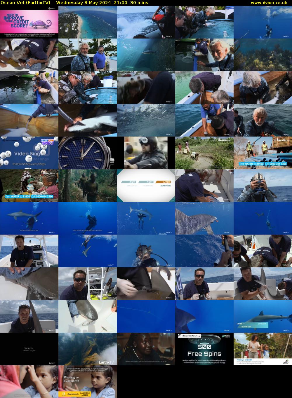 Ocean Vet (EarthxTV) Wednesday 8 May 2024 21:00 - 21:30