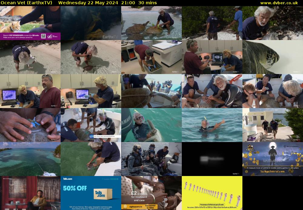 Ocean Vet (EarthxTV) Wednesday 22 May 2024 21:00 - 21:30