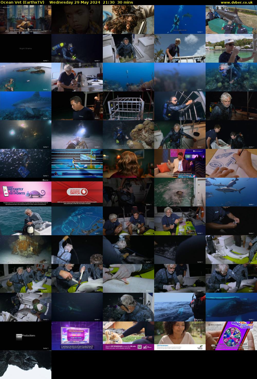 Ocean Vet (EarthxTV) Wednesday 29 May 2024 21:30 - 22:00