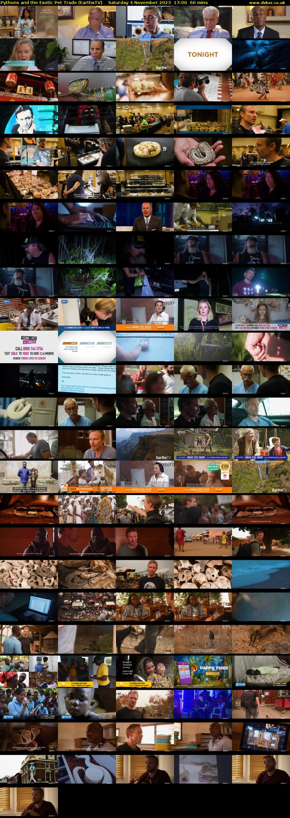 Pythons and the Exotic Pet Trade (EarthxTV) Saturday 4 November 2023 17:00 - 18:00