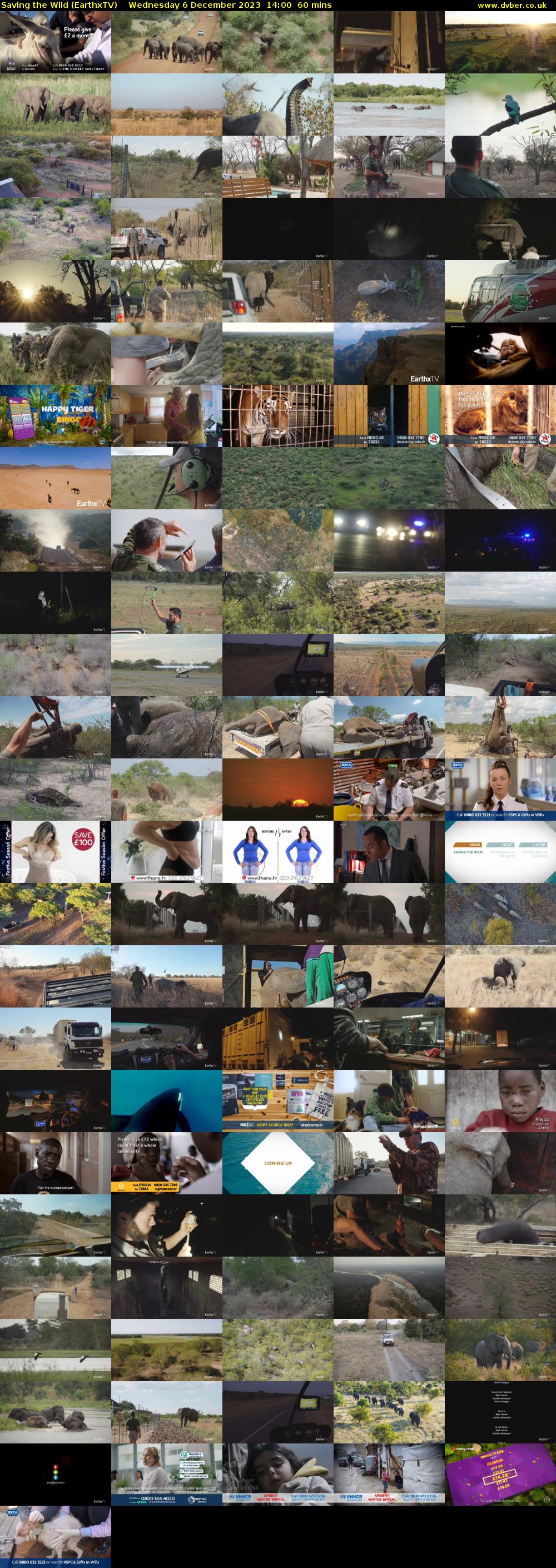 Saving the Wild (EarthxTV) Wednesday 6 December 2023 14:00 - 15:00