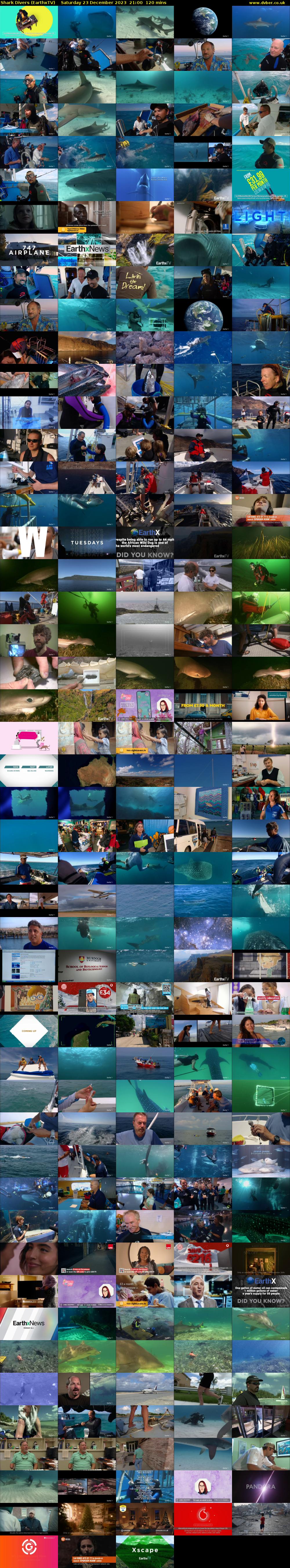 Shark Divers (EarthxTV) Saturday 23 December 2023 21:00 - 23:00