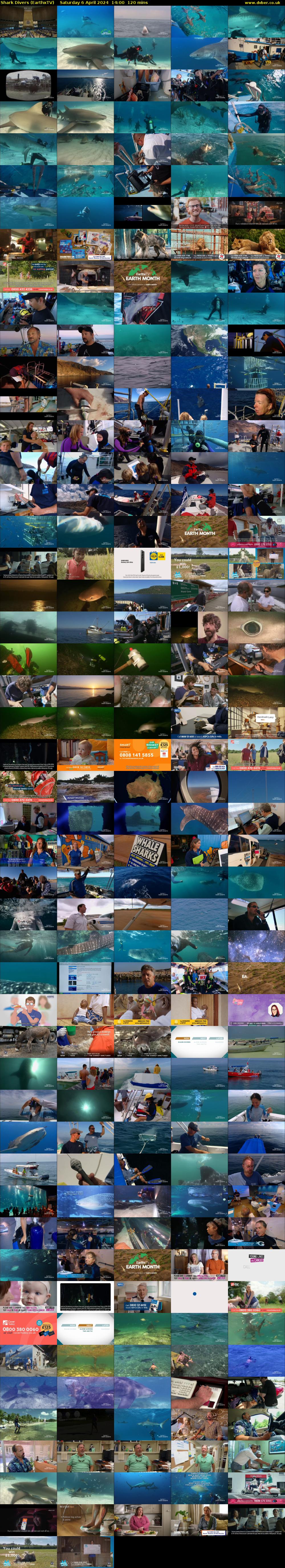Shark Divers (EarthxTV) Saturday 6 April 2024 14:00 - 16:00