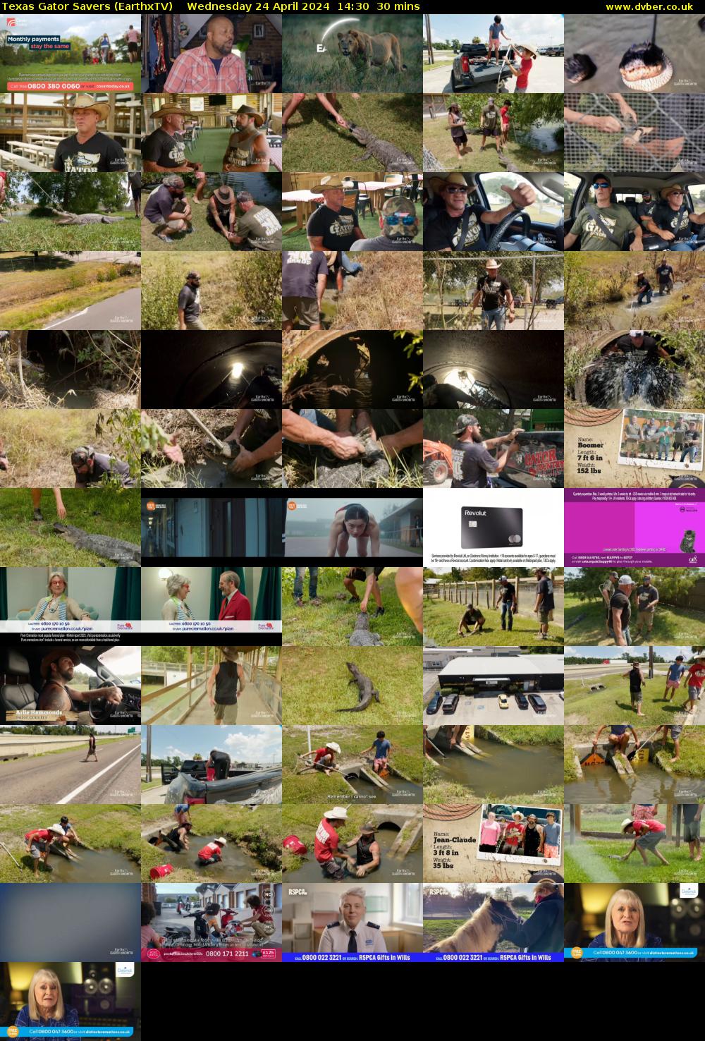 Texas Gator Savers (EarthxTV) Wednesday 24 April 2024 14:30 - 15:00