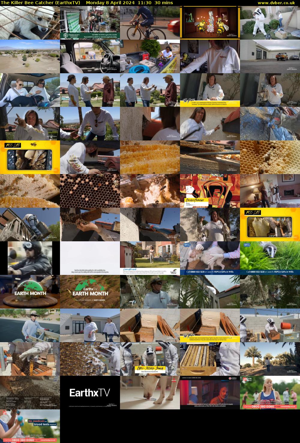 The Killer Bee Catcher (EarthxTV) Monday 8 April 2024 11:30 - 12:00