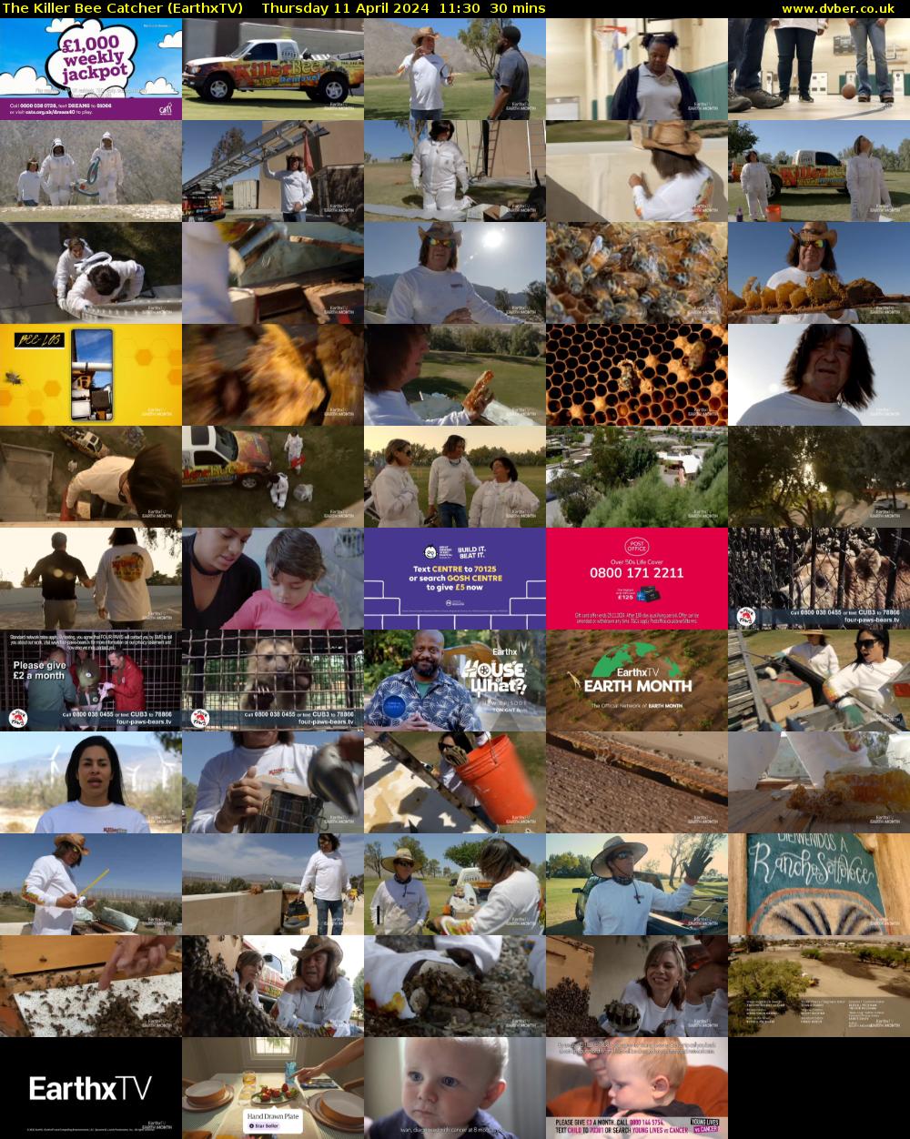 The Killer Bee Catcher (EarthxTV) Thursday 11 April 2024 11:30 - 12:00