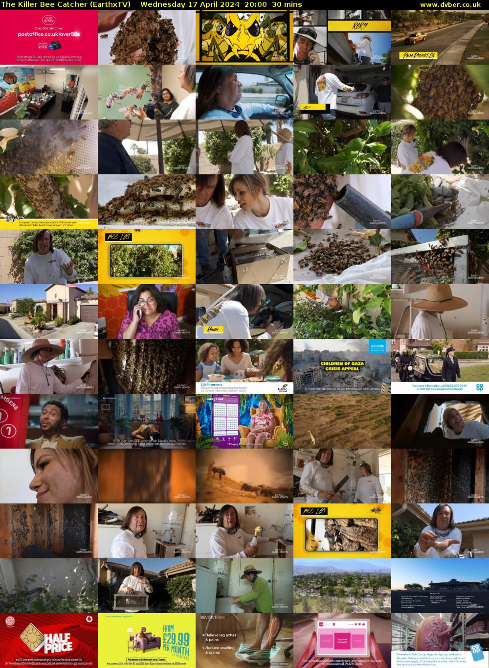 The Killer Bee Catcher (EarthxTV) Wednesday 17 April 2024 20:00 - 20:30