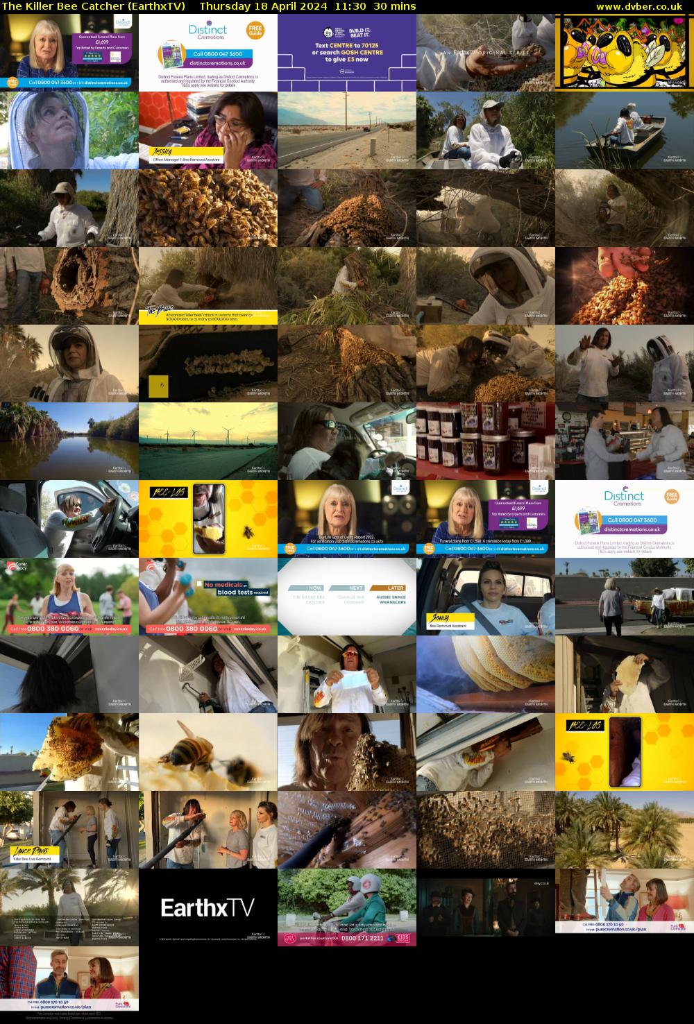 The Killer Bee Catcher (EarthxTV) Thursday 18 April 2024 11:30 - 12:00
