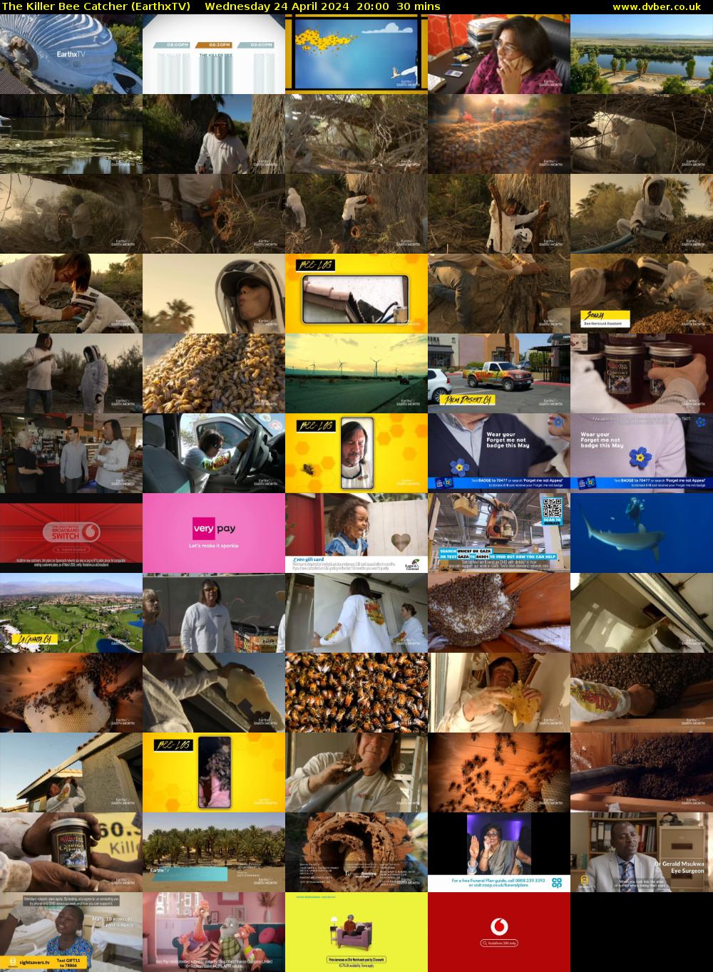 The Killer Bee Catcher (EarthxTV) Wednesday 24 April 2024 20:00 - 20:30