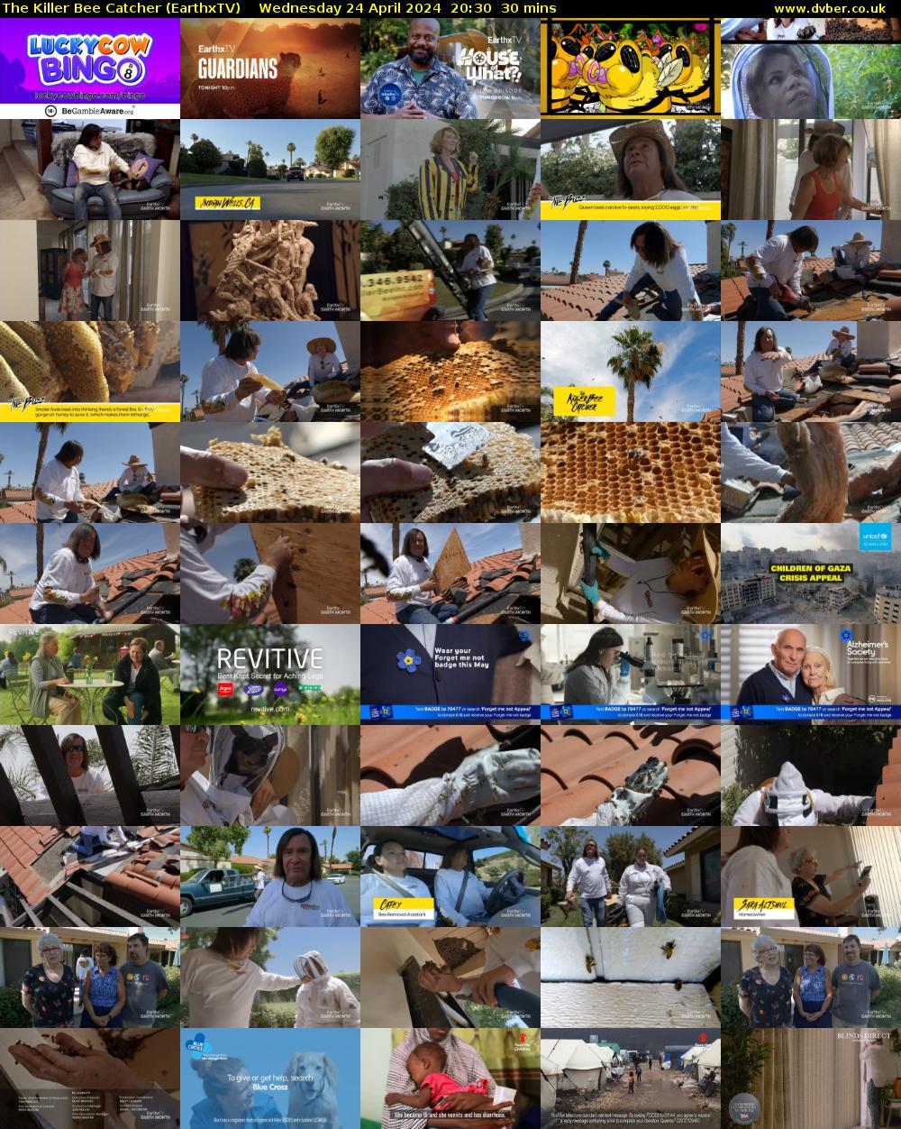 The Killer Bee Catcher (EarthxTV) Wednesday 24 April 2024 20:30 - 21:00