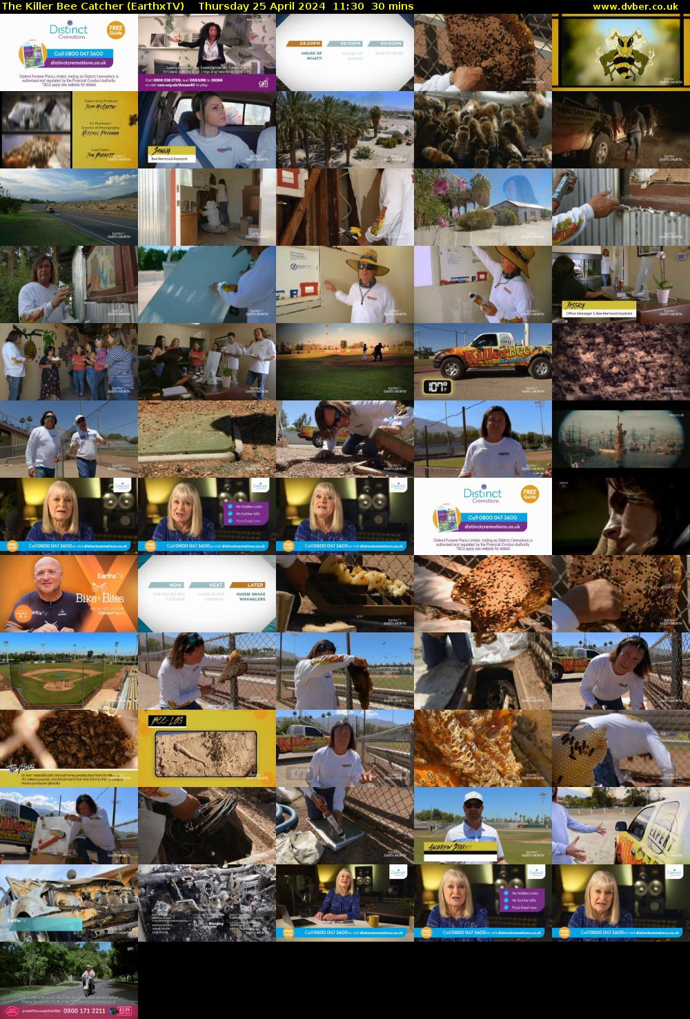 The Killer Bee Catcher (EarthxTV) Thursday 25 April 2024 11:30 - 12:00