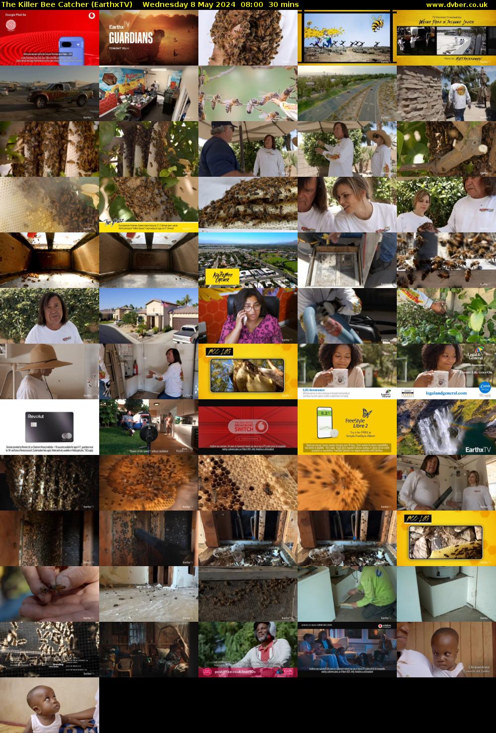 The Killer Bee Catcher (EarthxTV) Wednesday 8 May 2024 08:00 - 08:30