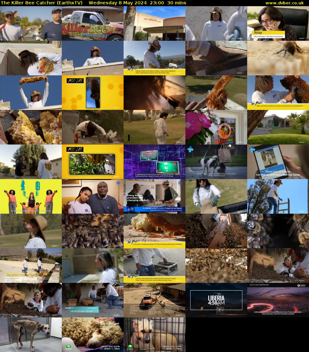 The Killer Bee Catcher (EarthxTV) Wednesday 8 May 2024 23:00 - 23:30