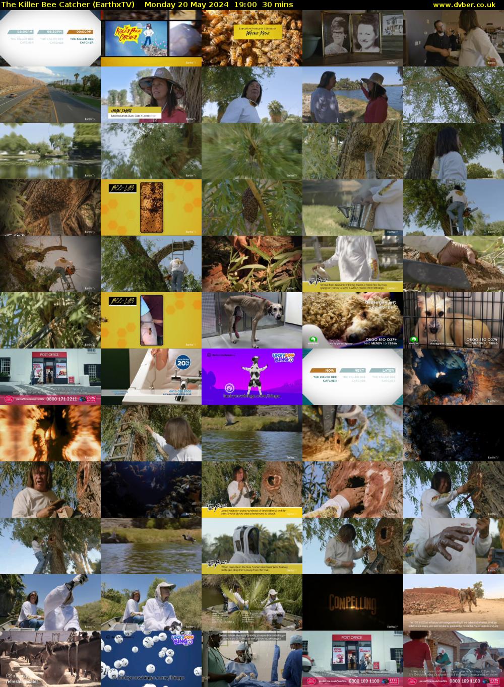 The Killer Bee Catcher (EarthxTV) Monday 20 May 2024 19:00 - 19:30
