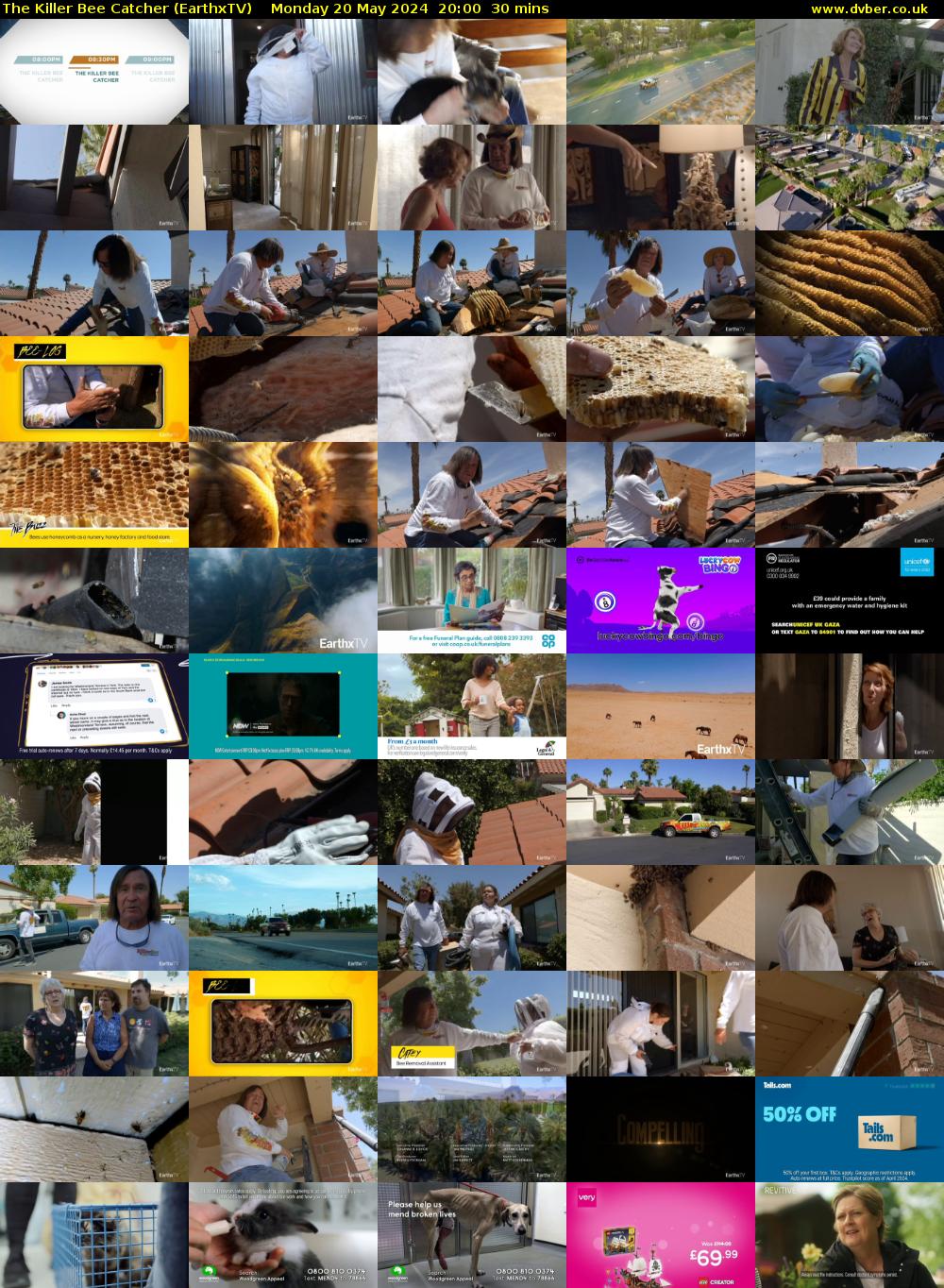The Killer Bee Catcher (EarthxTV) Monday 20 May 2024 20:00 - 20:30