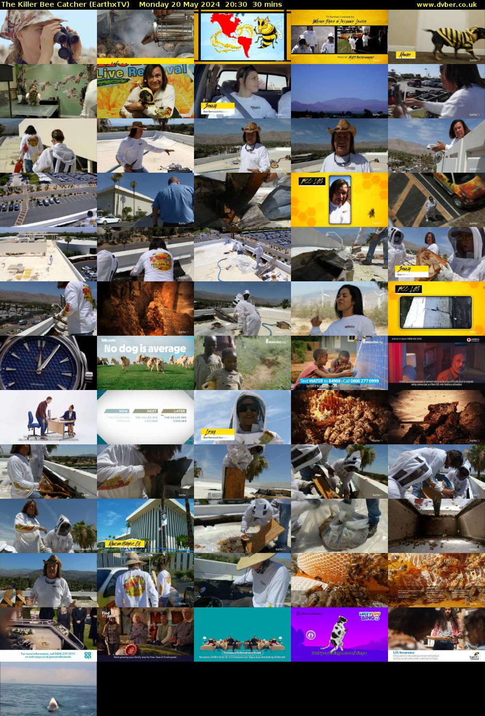 The Killer Bee Catcher (EarthxTV) Monday 20 May 2024 20:30 - 21:00