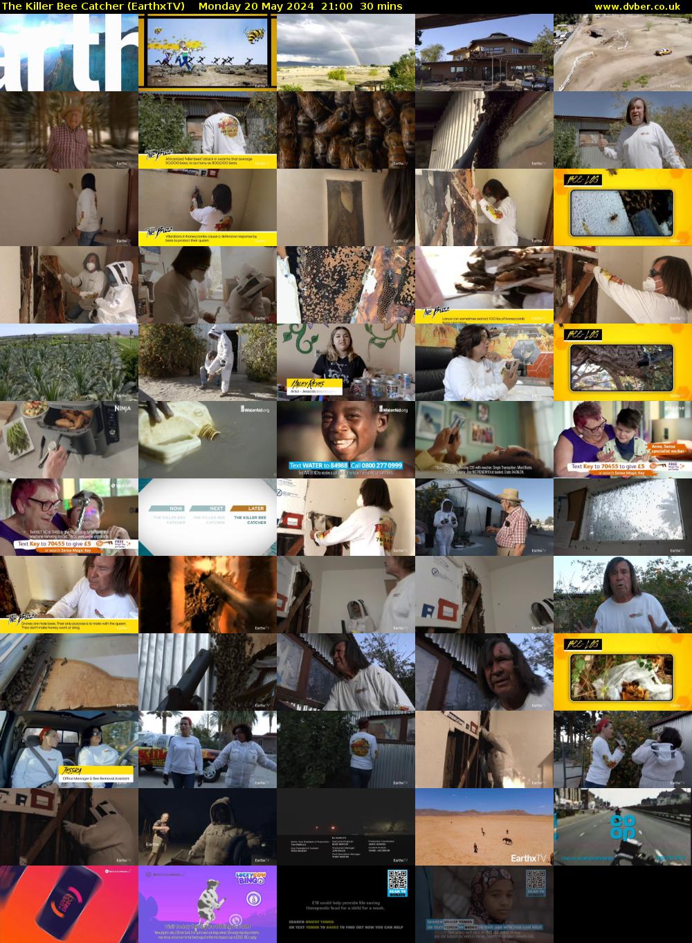 The Killer Bee Catcher (EarthxTV) Monday 20 May 2024 21:00 - 21:30