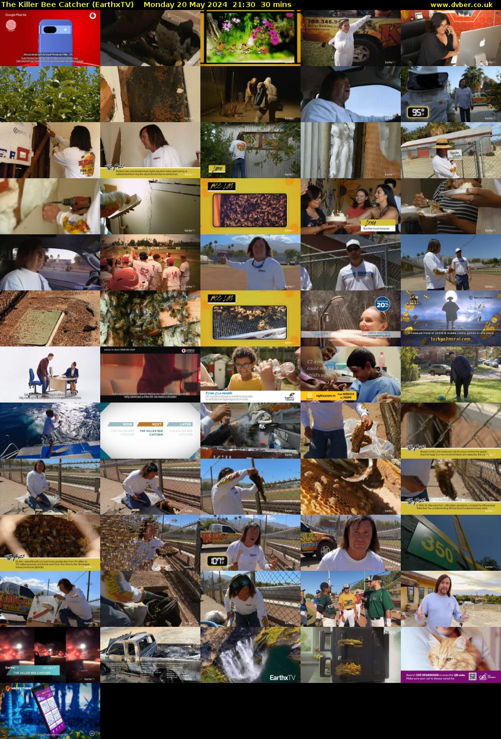 The Killer Bee Catcher (EarthxTV) Monday 20 May 2024 21:30 - 22:00