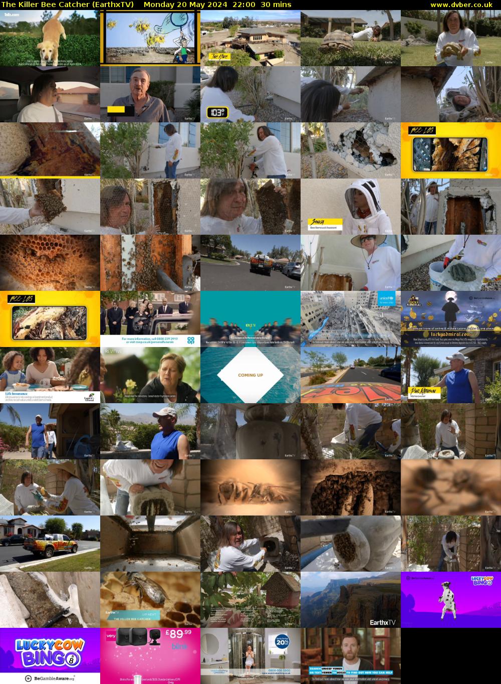 The Killer Bee Catcher (EarthxTV) Monday 20 May 2024 22:00 - 22:30
