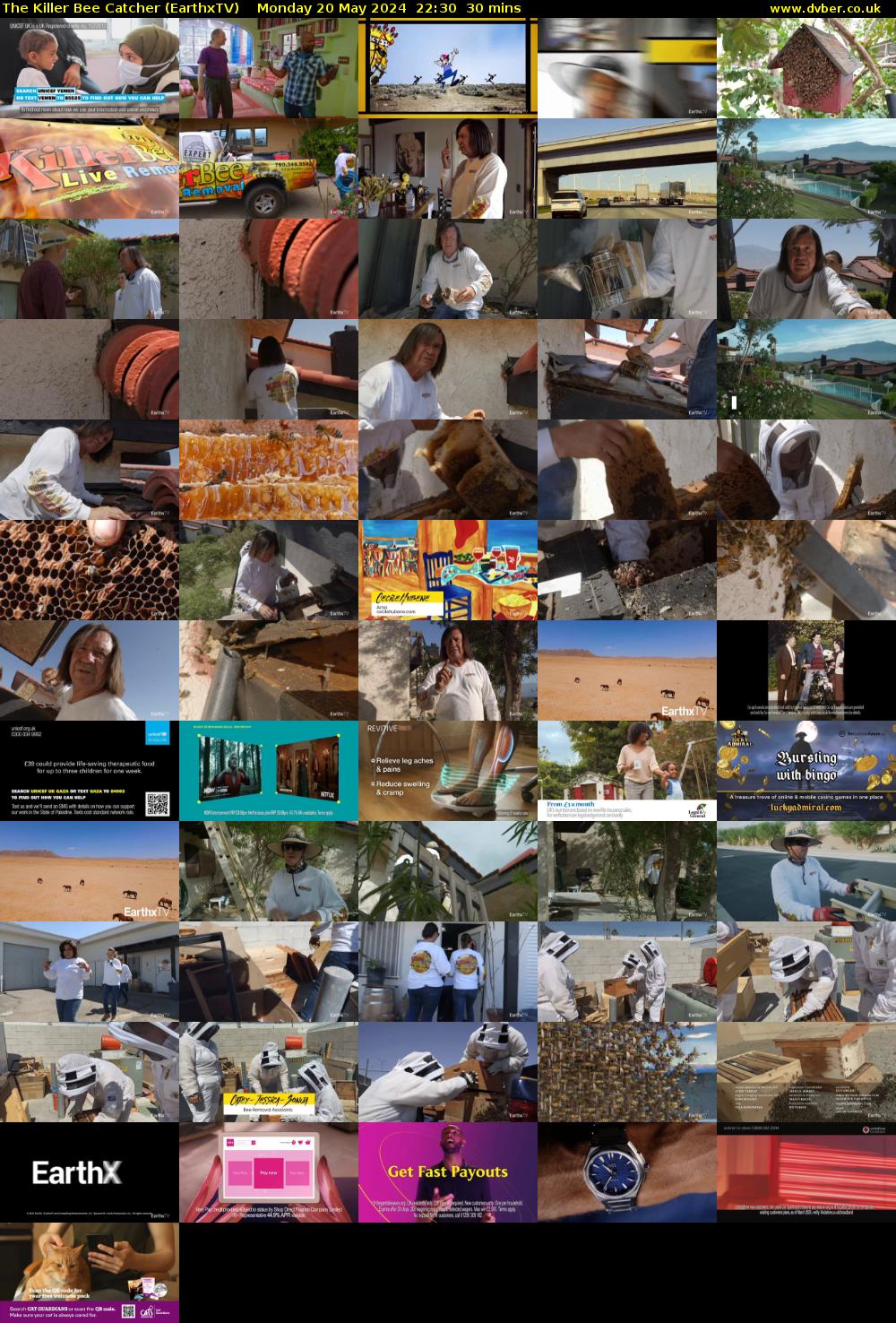 The Killer Bee Catcher (EarthxTV) Monday 20 May 2024 22:30 - 23:00
