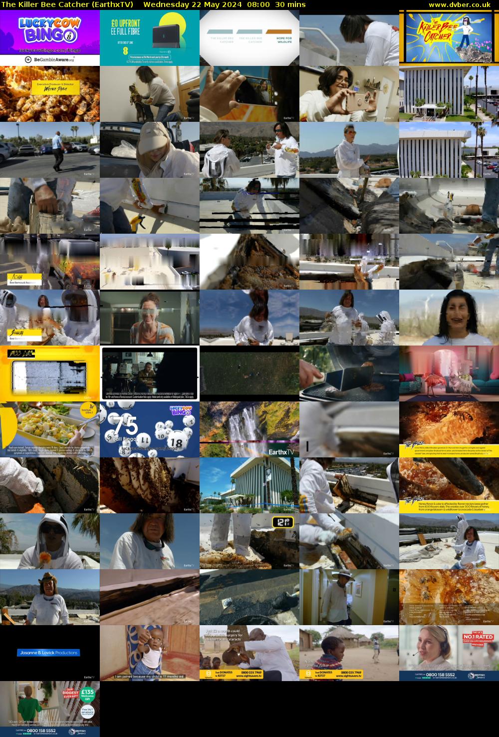 The Killer Bee Catcher (EarthxTV) Wednesday 22 May 2024 08:00 - 08:30
