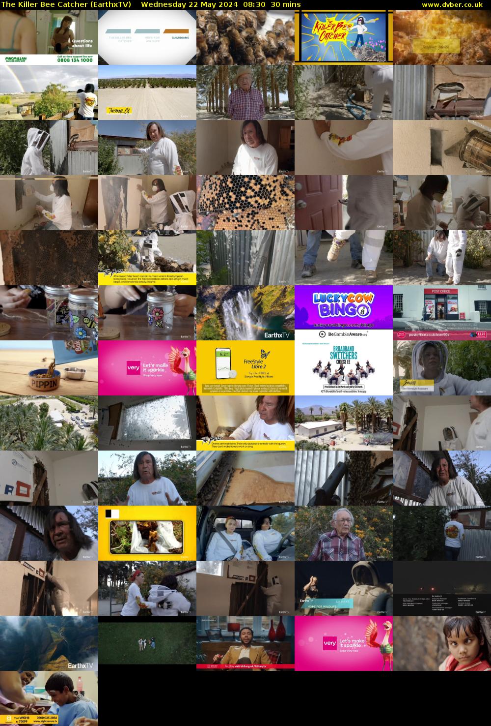 The Killer Bee Catcher (EarthxTV) Wednesday 22 May 2024 08:30 - 09:00