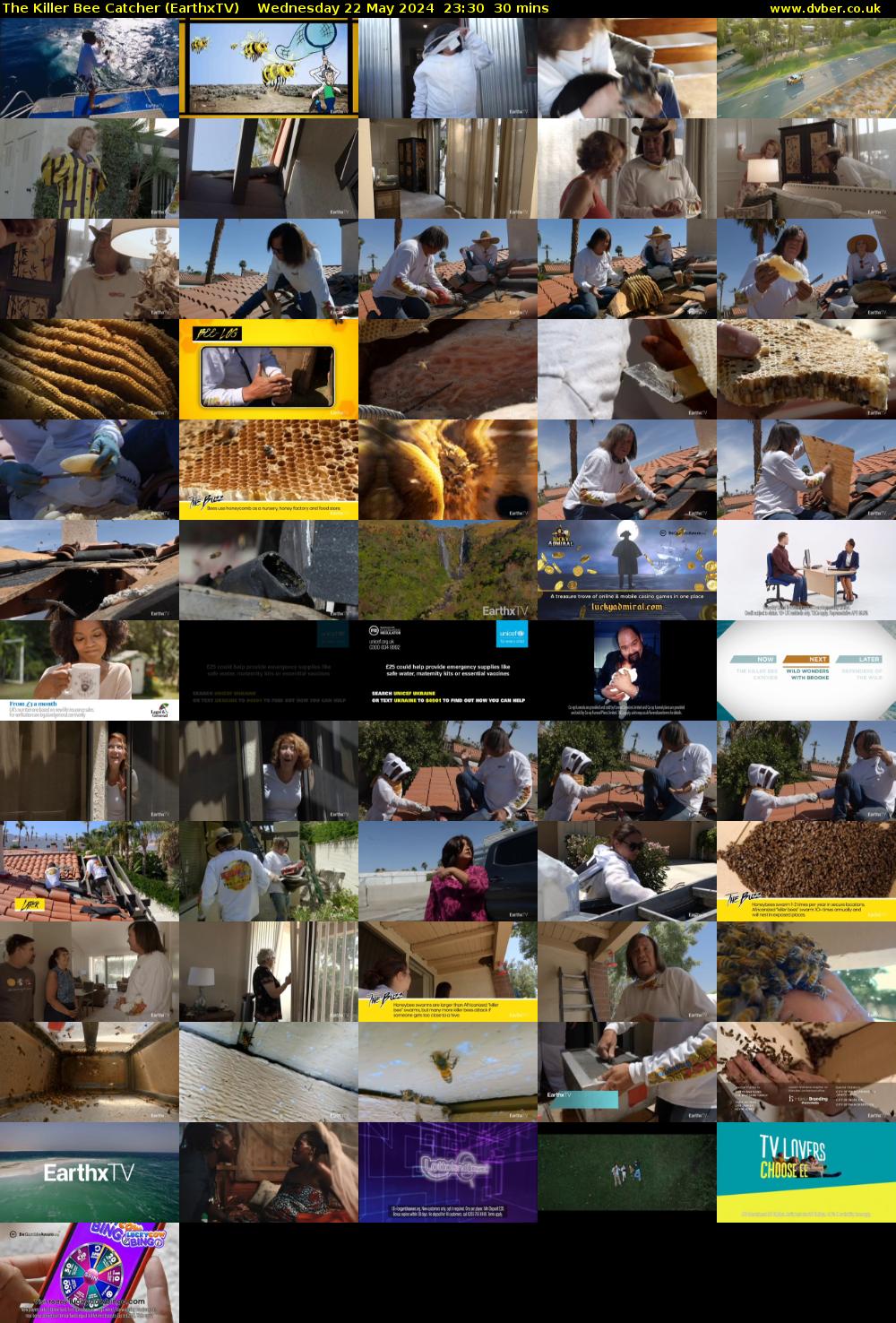 The Killer Bee Catcher (EarthxTV) Wednesday 22 May 2024 23:30 - 00:00