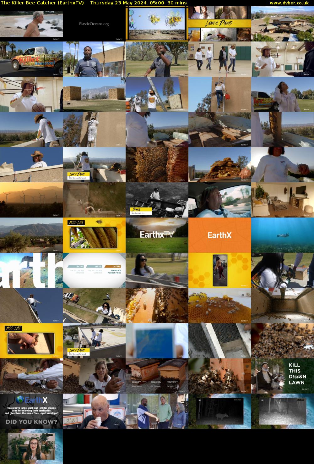 The Killer Bee Catcher (EarthxTV) Thursday 23 May 2024 05:00 - 05:30