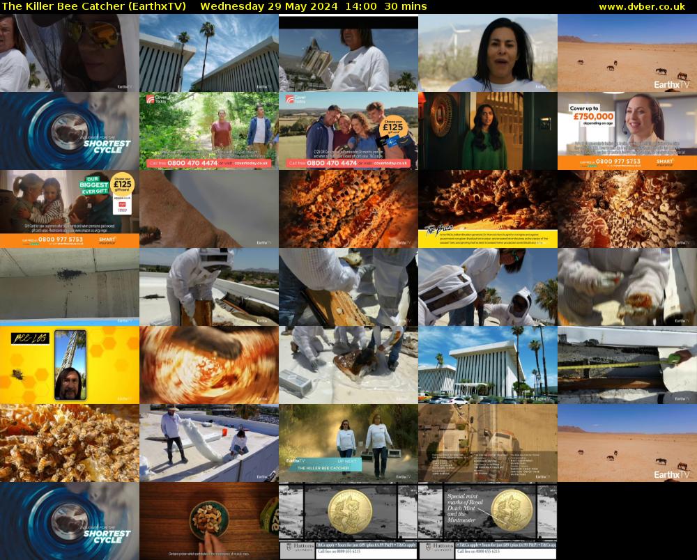 The Killer Bee Catcher (EarthxTV) Wednesday 29 May 2024 14:00 - 14:30