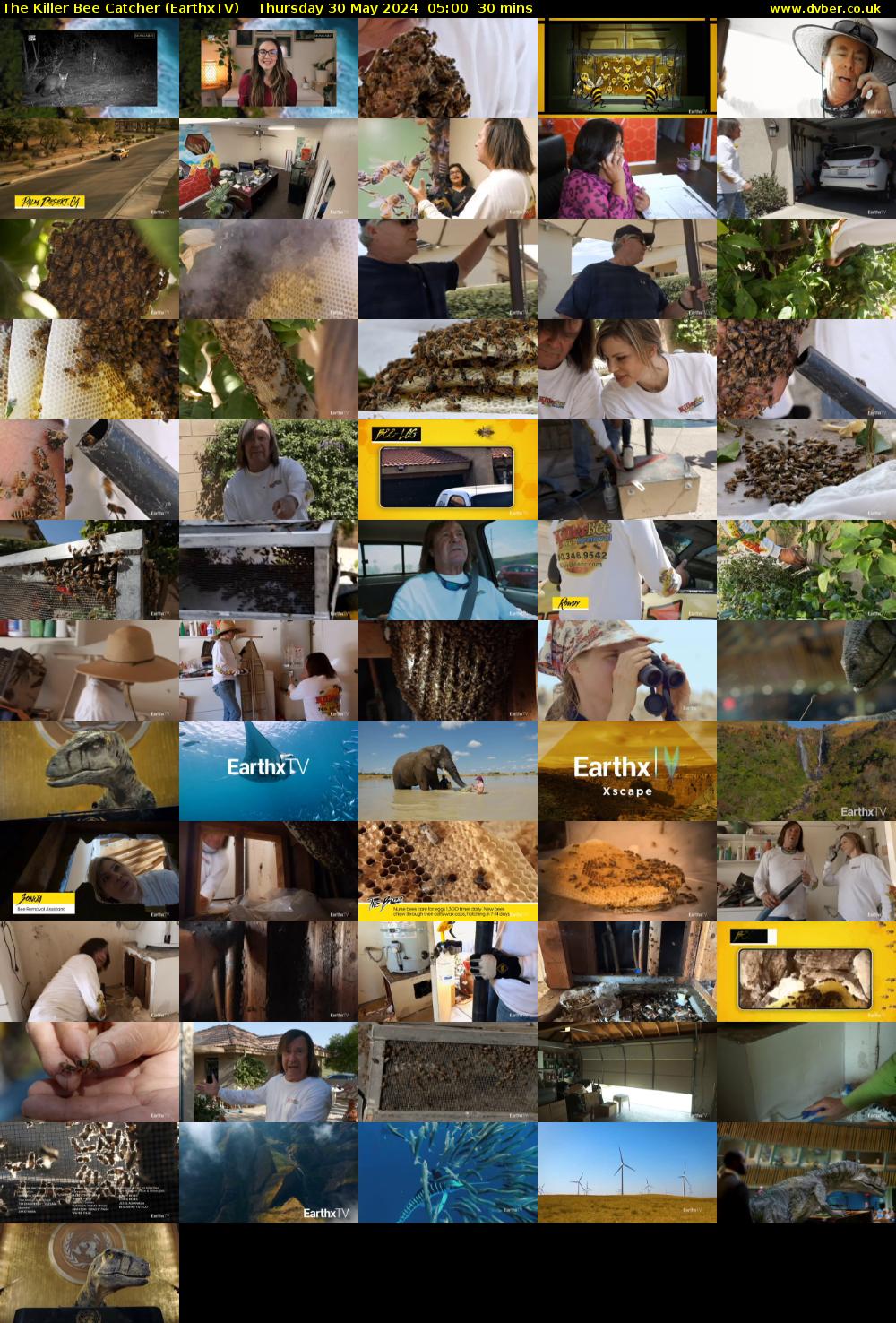 The Killer Bee Catcher (EarthxTV) Thursday 30 May 2024 05:00 - 05:30