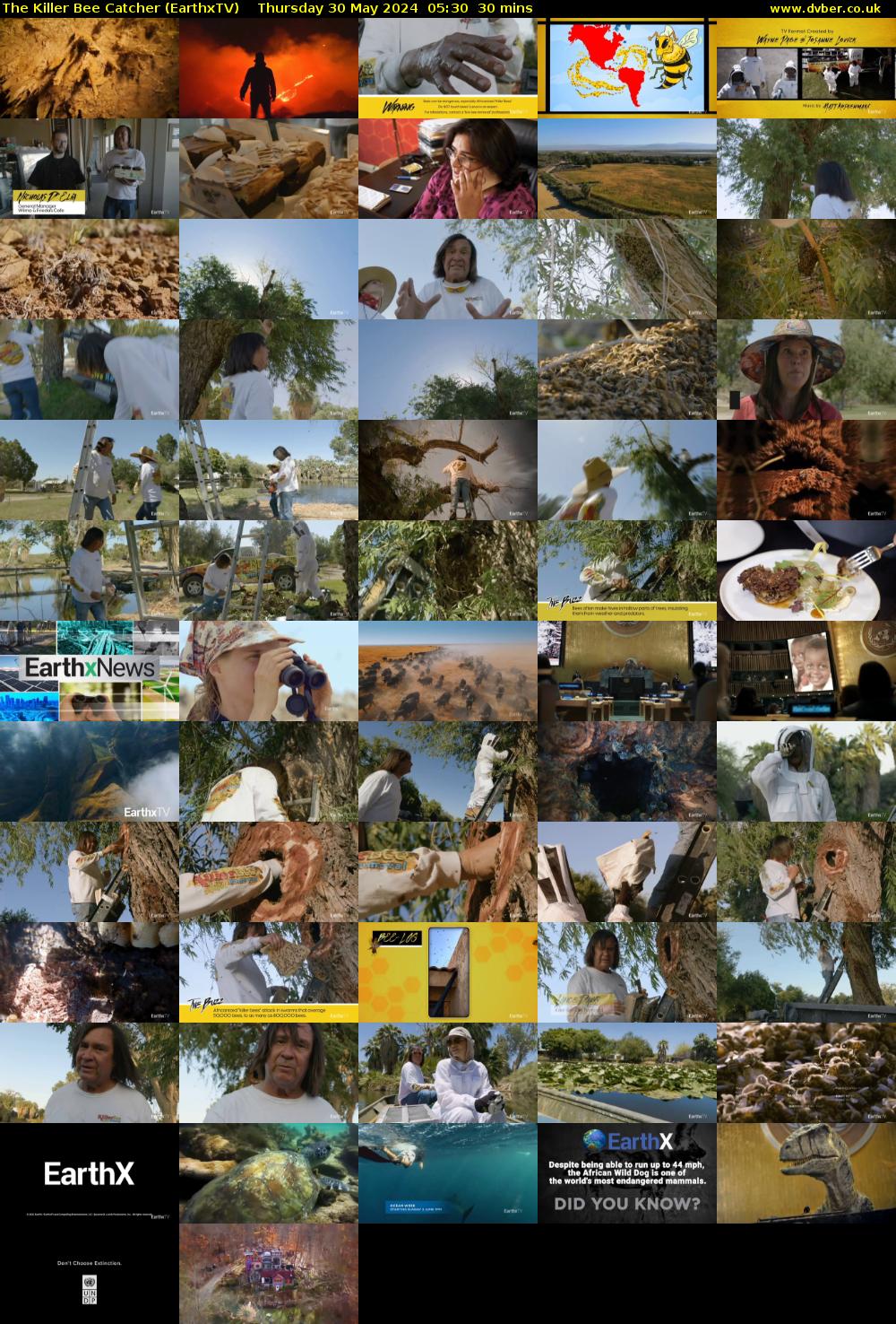 The Killer Bee Catcher (EarthxTV) Thursday 30 May 2024 05:30 - 06:00
