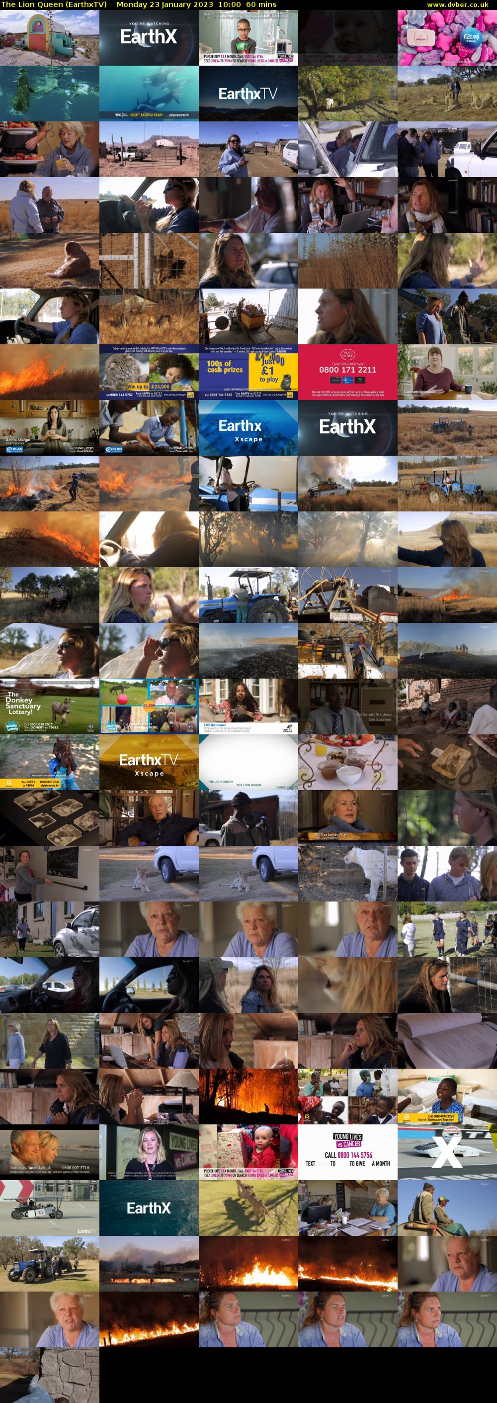 The Lion Queen (EarthxTV) Monday 23 January 2023 10:00 - 11:00