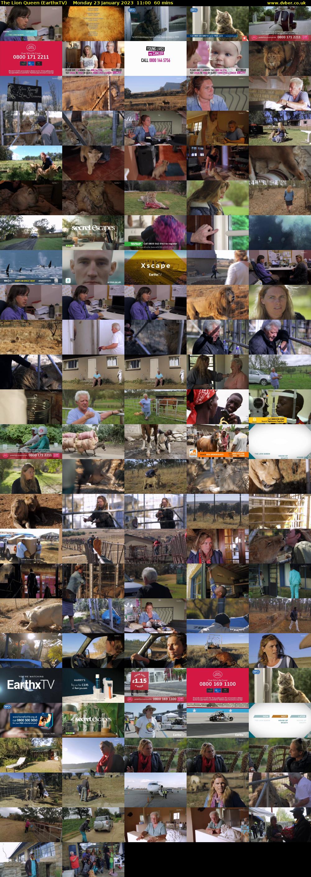 The Lion Queen (EarthxTV) Monday 23 January 2023 11:00 - 12:00
