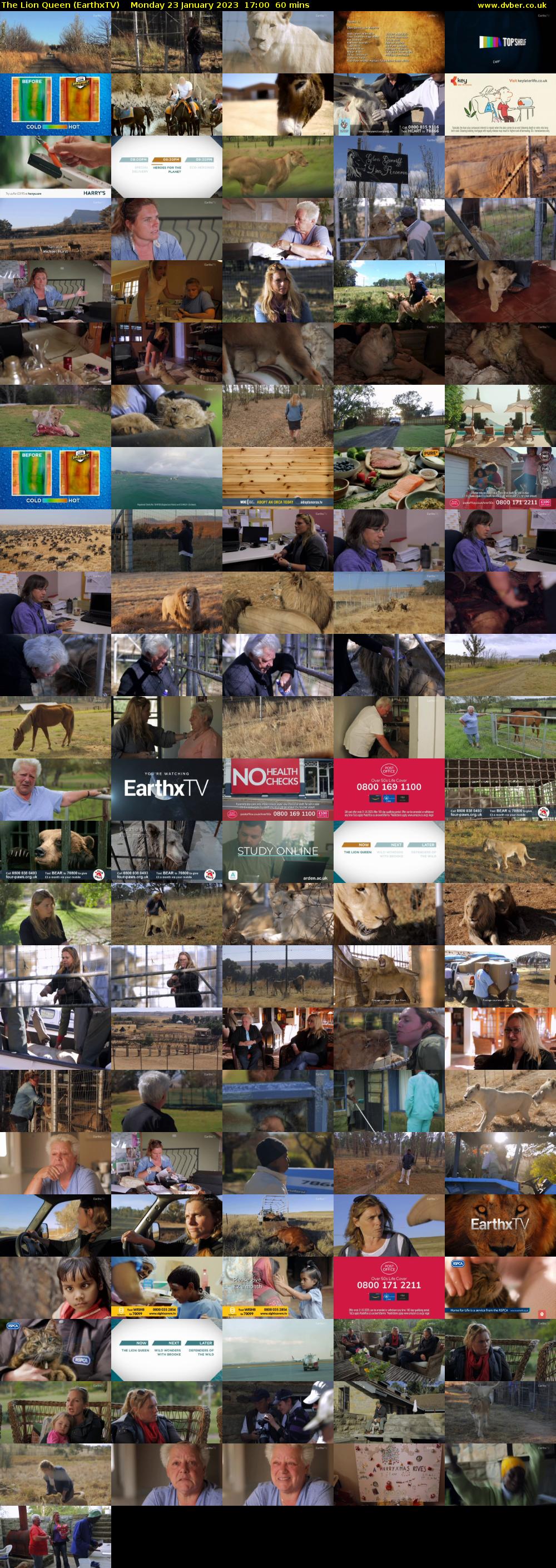 The Lion Queen (EarthxTV) Monday 23 January 2023 17:00 - 18:00