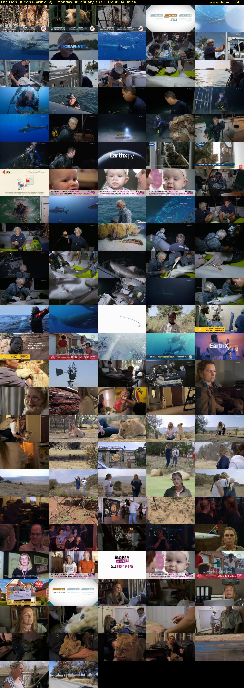 The Lion Queen (EarthxTV) Monday 30 January 2023 16:00 - 17:00