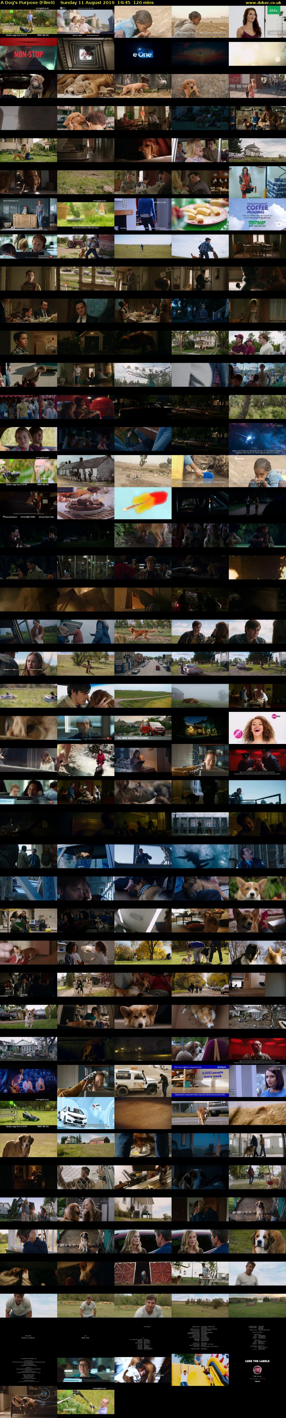 A Dog's Purpose (Film4) Sunday 11 August 2019 14:45 - 16:45