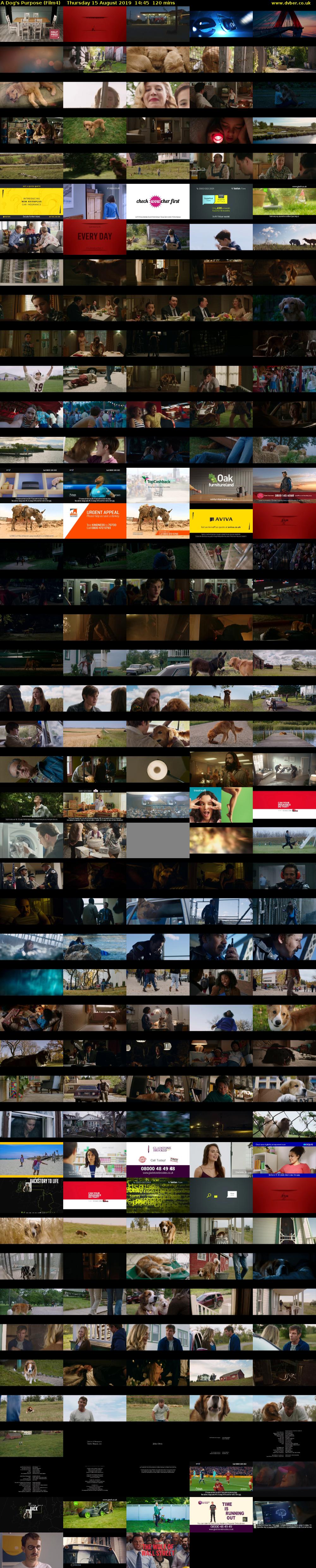 A Dog's Purpose (Film4) Thursday 15 August 2019 14:45 - 16:45