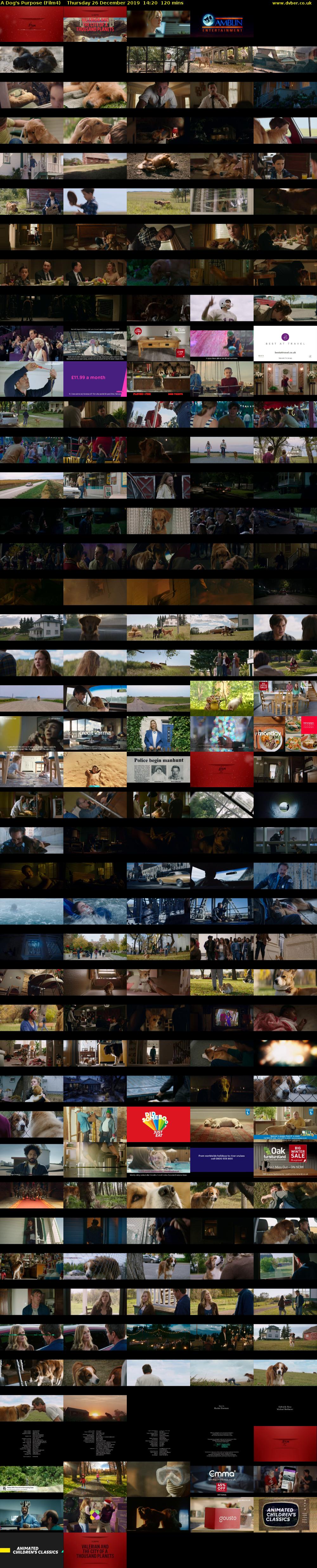 A Dog's Purpose (Film4) Thursday 26 December 2019 14:20 - 16:20