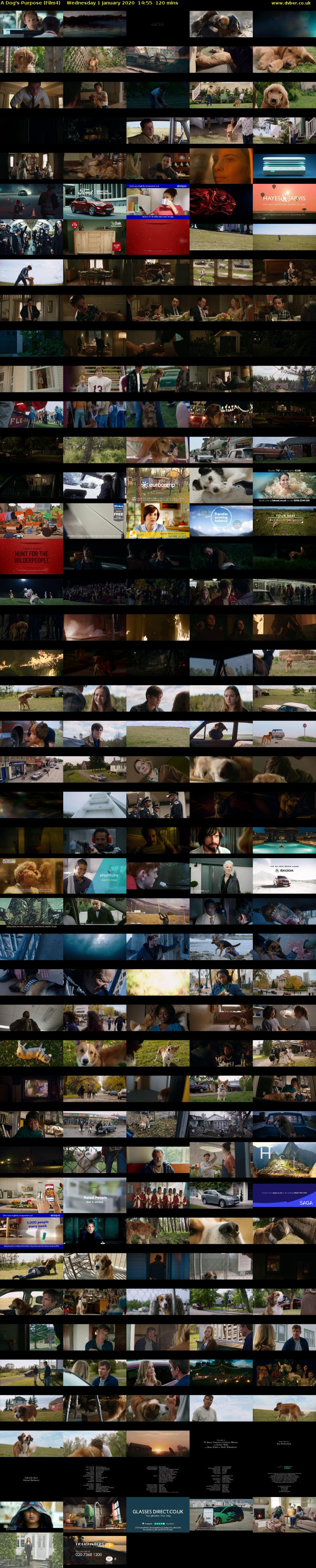 A Dog's Purpose (Film4) Wednesday 1 January 2020 14:55 - 16:55