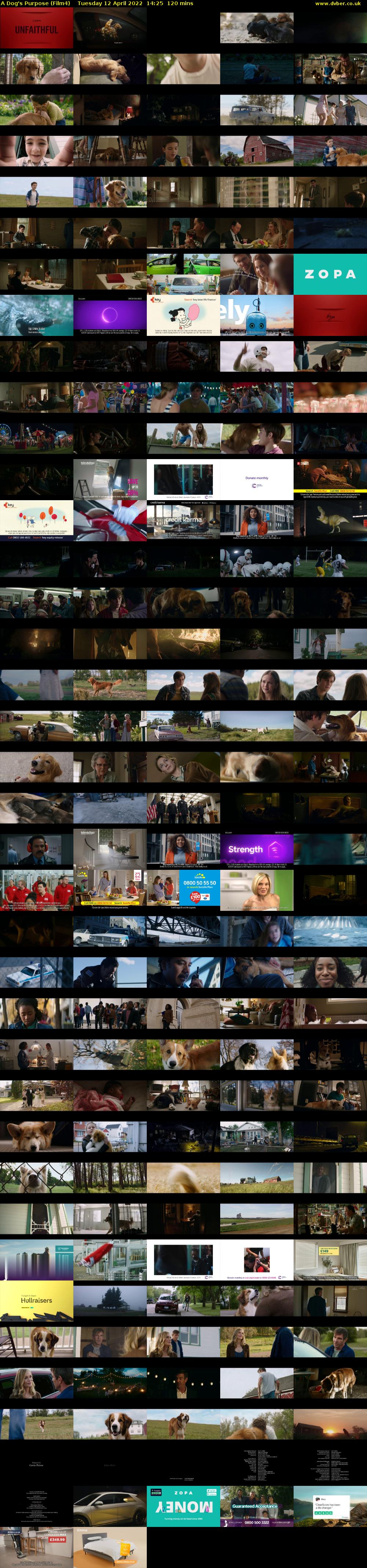 A Dog's Purpose (Film4) Tuesday 12 April 2022 14:25 - 16:25
